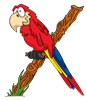 X_Parrot
