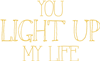You Light Up My Life