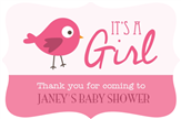 Baby Shower Birdie