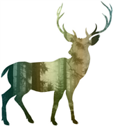 Scenic Deer Silhouette