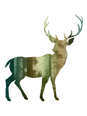 Scenic Deer Silhouette