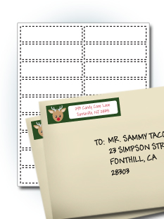 Wide Address Labels